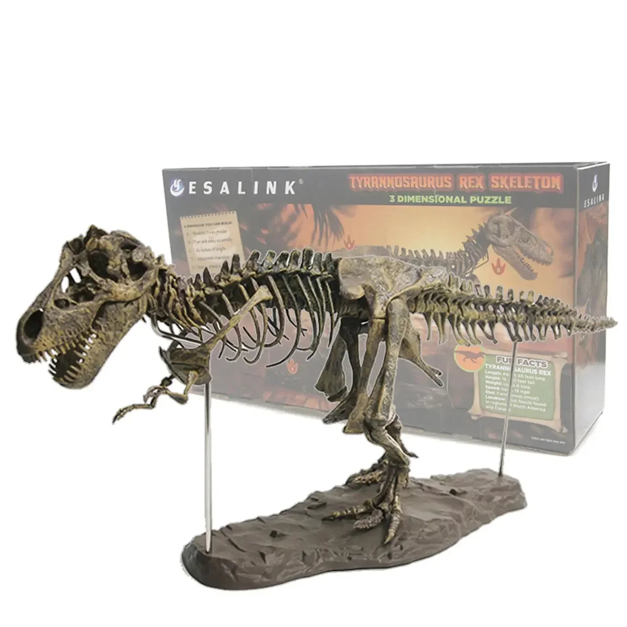 Dinosaure à Construire Tyrannosaurus Rex