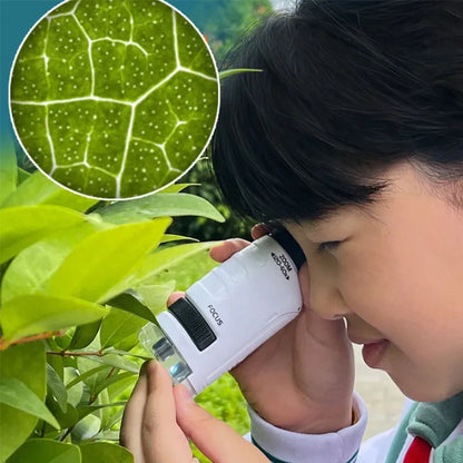 Microscope portable 60X à 120X