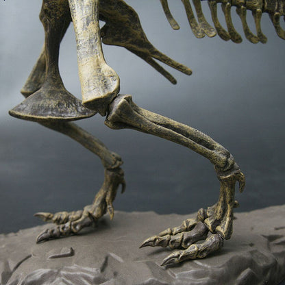 Dinosaure à Construire Tyrannosaurus Rex