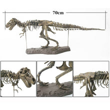 Dinosaure à Construire Tyrannosaurus Rex