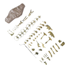 Dinosaure à Construire Tyrannosaurus Rex