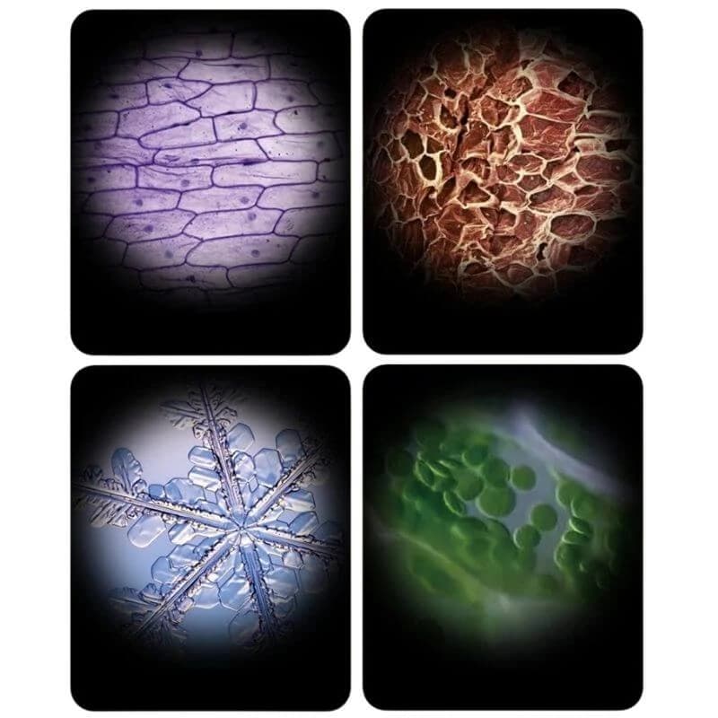 Microscope portable 60X à 120X