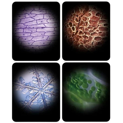 Microscope portable 60X à 120X